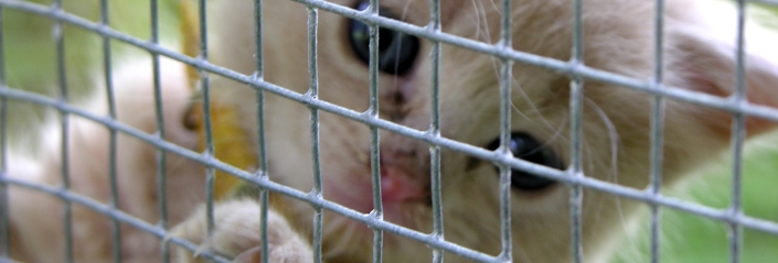 Foto: Hedrock - CC-BY-NC