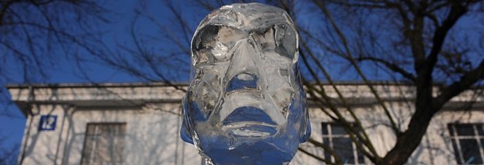 Foto einer Eisskulptur (net_efekt - CC-BY)