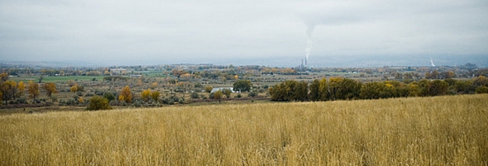 eatbitter - CC-BY-NC