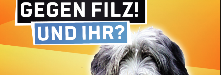 Der Hund, der hoat jetzt Lack gesoffen!